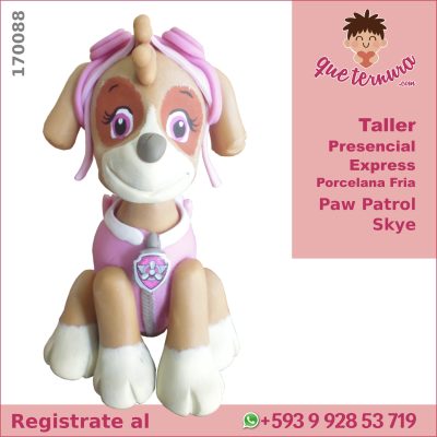 170088CEx PF Paw Patrol Skye Curso Express en Porcelana Fria