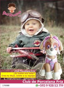 170088cpf PF Paw Patrol Skye Club Porcelana Fria